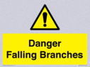 danger-falling-branches~